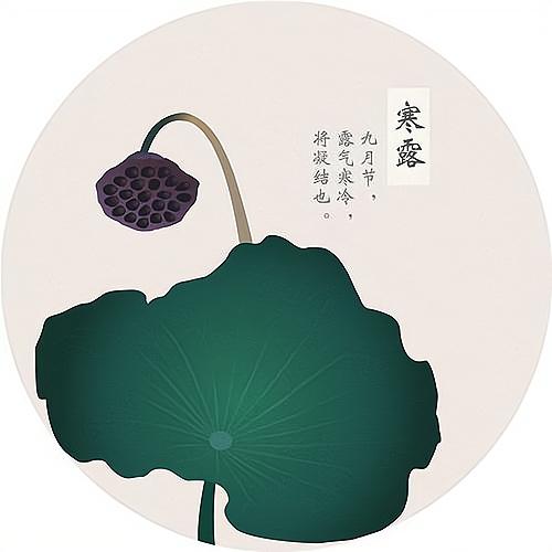 節(jié)氣養(yǎng)生丨寒露養(yǎng)生